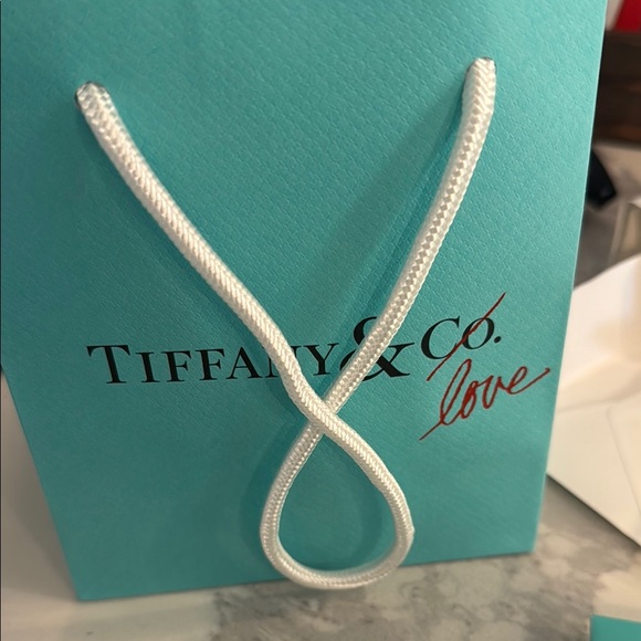 Tiffany & Co. Silver and Blue Classic Necklace 16 inch - Picture 6 of 6